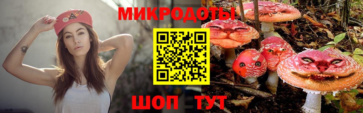Галлюциногенные грибы Psilocybine cubensis Шатура